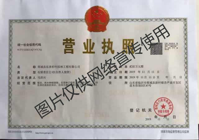 资质荣誉(图1)