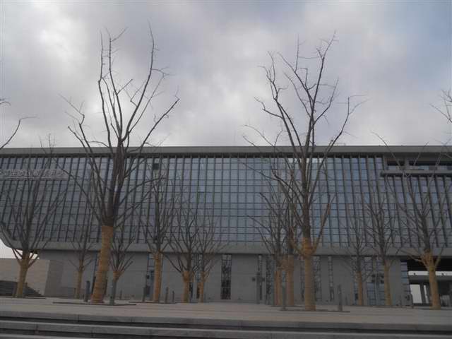 西安工程绿化效果