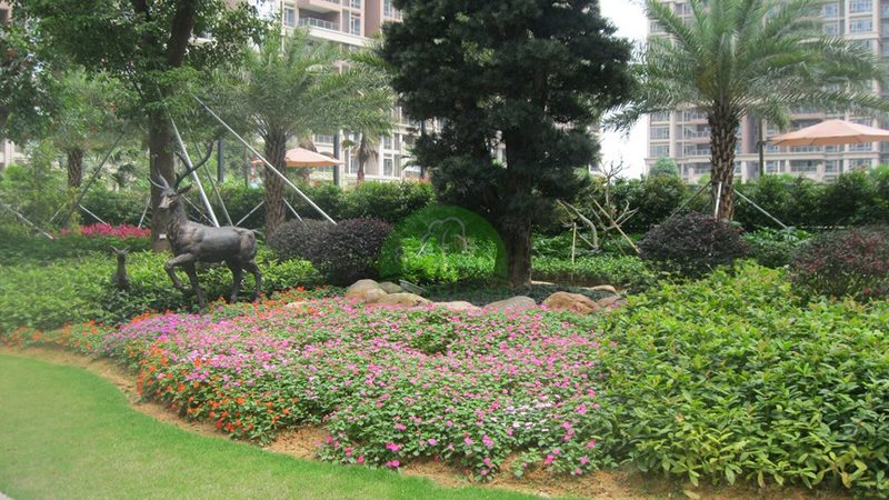 边坡绿化喷播植草，价格走势如何解读？**