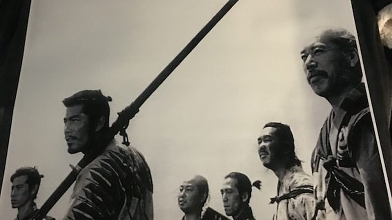 小型立体绿化植物墙成本解析：如何合理预算一平米价格**