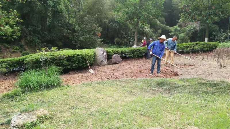 苗木种植技术视频教程分类：从入门到精通的系统化学习路径