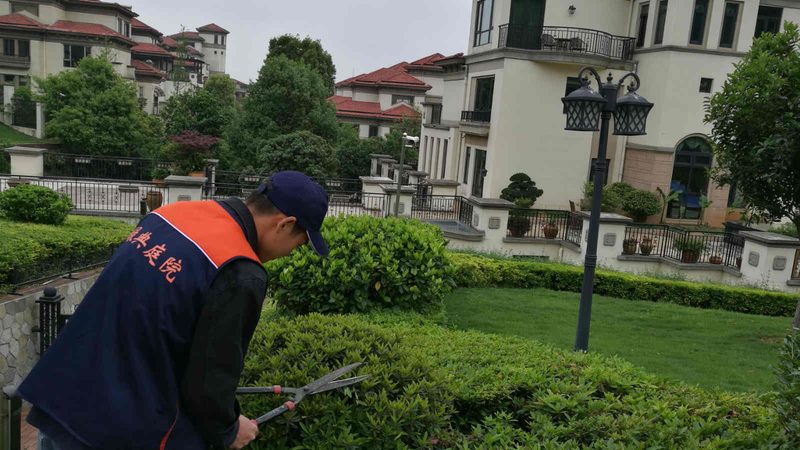 城市绿化资质申请，这些步骤你不可不知**
