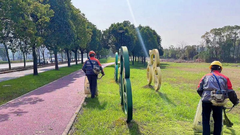 植物墙安装流程及规范详解