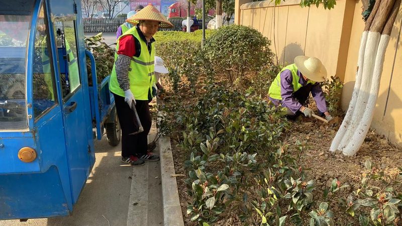 选择花卉租摆公司时，首先要关注其资质与实力。一家专业公司应具备以下条件：