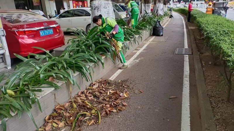别墅花园景观设计施工报价表：揭秘定制化花园的秘密**