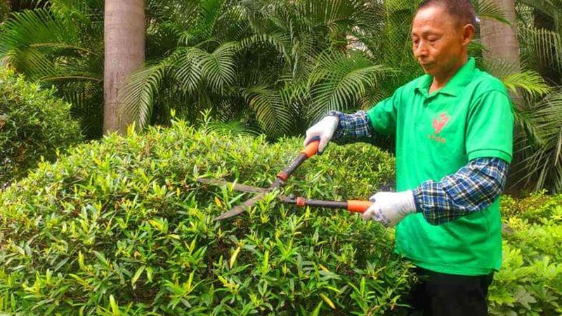 现代园林景观设计风格解析