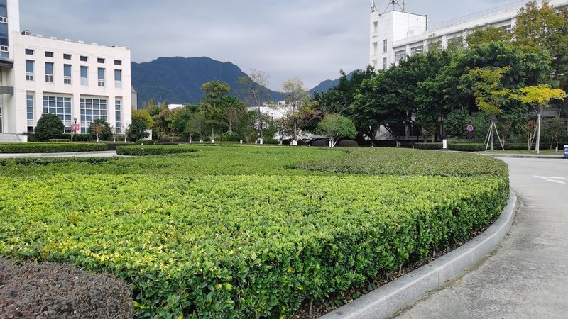 室内小景：假山喷泉的巧思与价格解析**