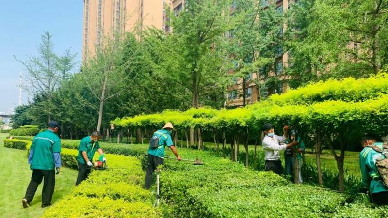别墅花园设计施工合同，这五个条款最容易扯皮
