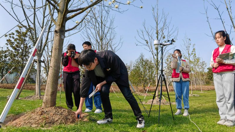 绿化苗木公司种植基地如何选择？揭秘关键因素**